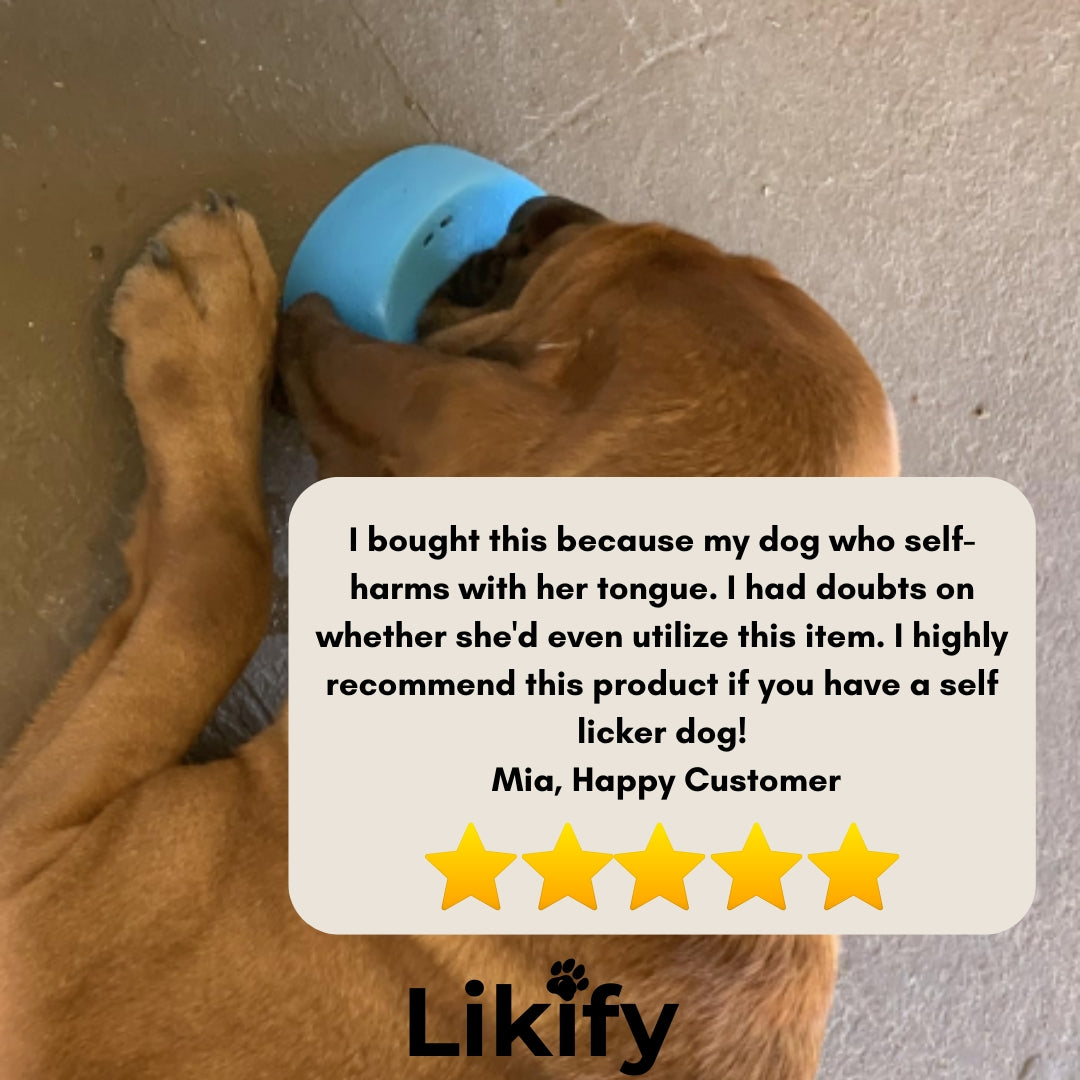 Likify™ 3 In 1 Slow Feeding Bowl