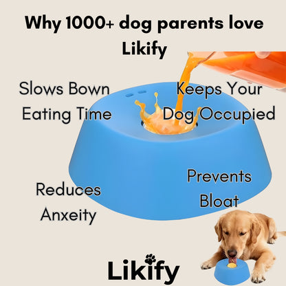 Likify™ 3 In 1 Slow Feeding Bowl