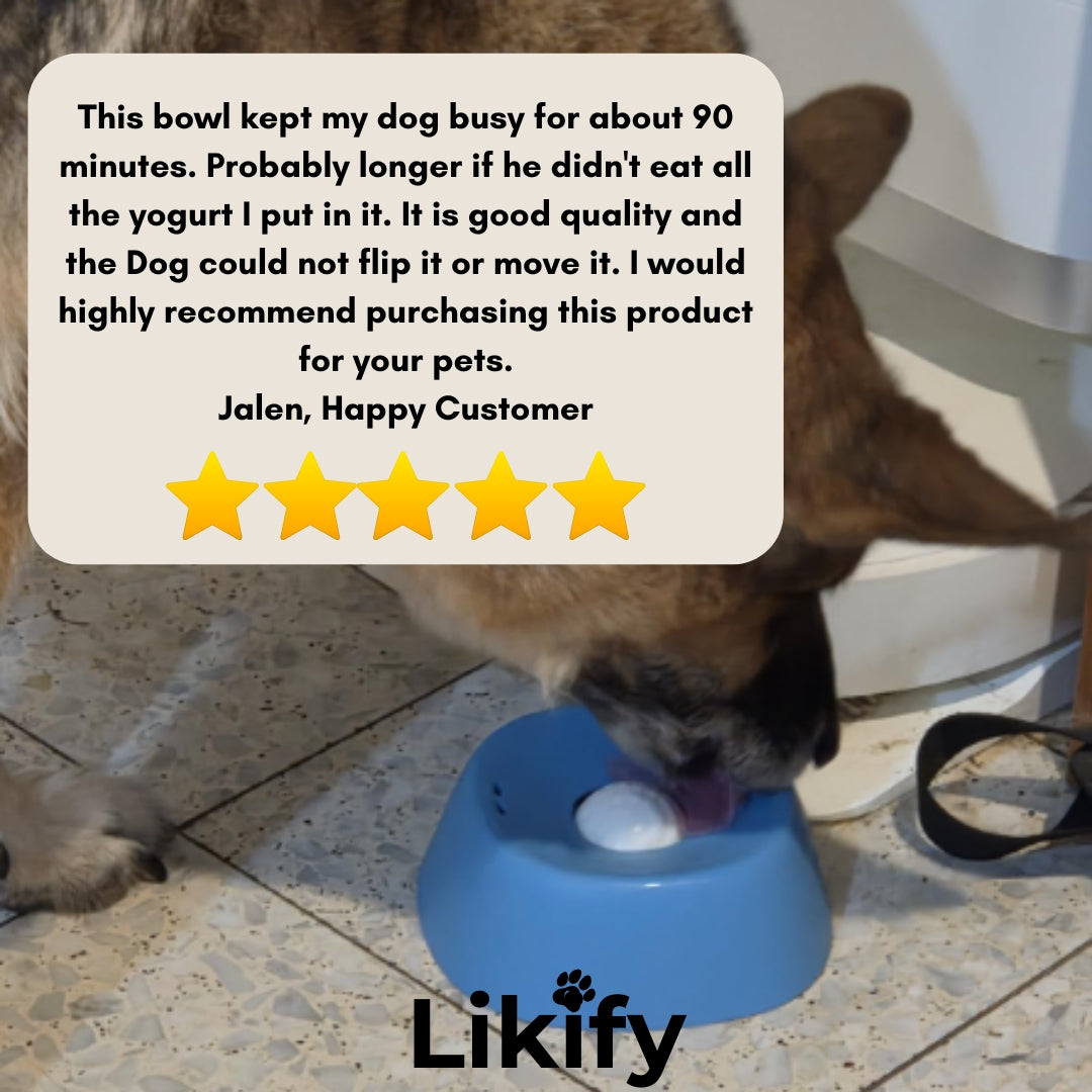 Likify™ 3 In 1 Slow Feeding Bowl