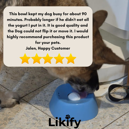 Likify™ 3 In 1 Slow Feeding Bowl