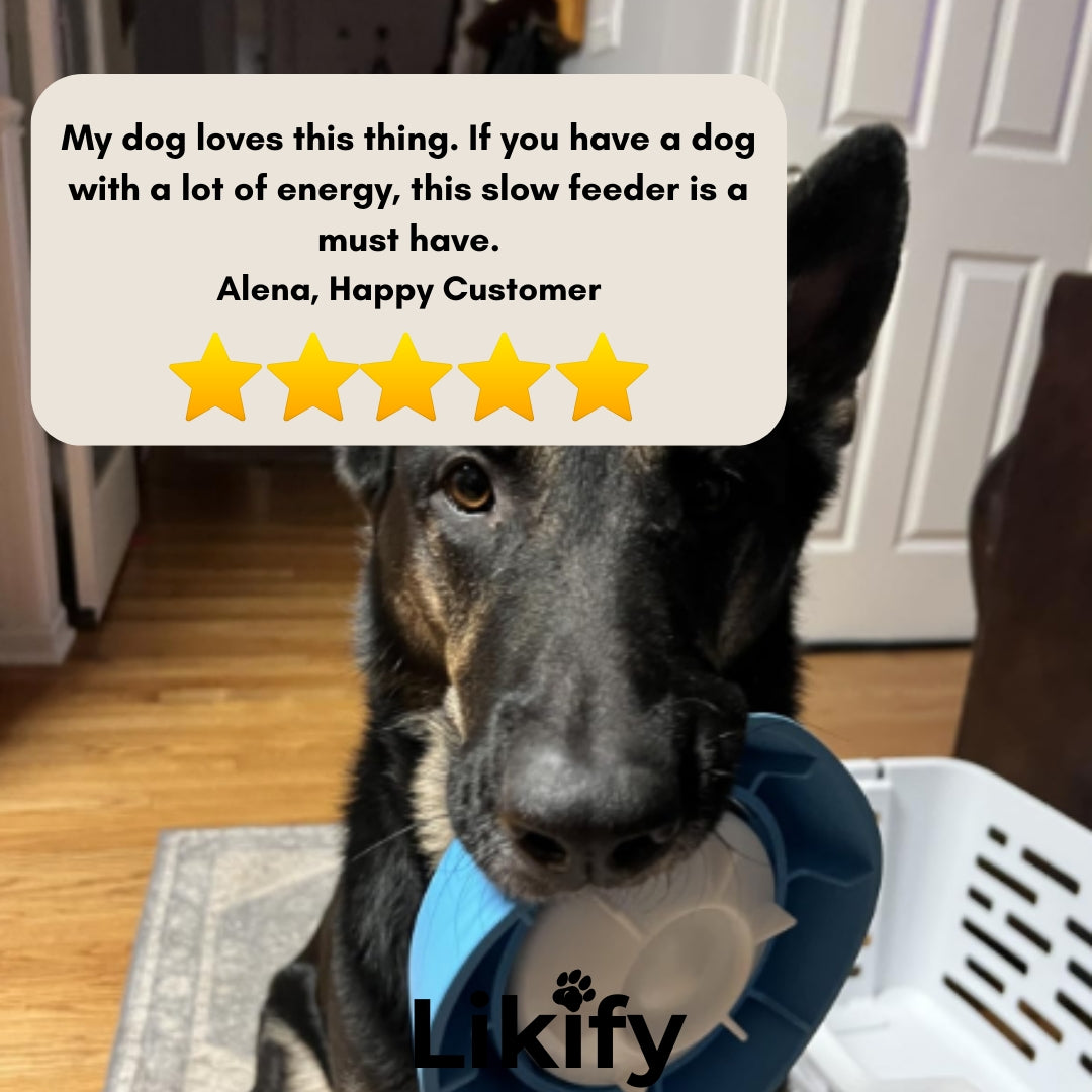 Likify™ 3 In 1 Slow Feeding Bowl
