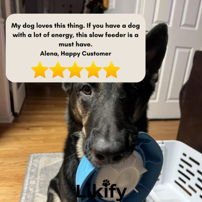 Likify™ 3 In 1 Slow Feeding Bowl