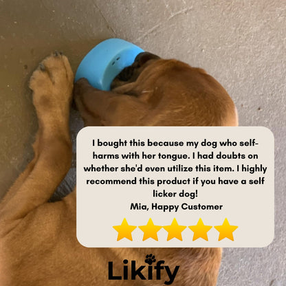 Likify™ 3 In 1 Slow Feeding Bowl